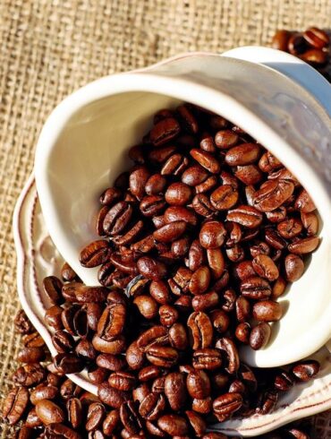 Café du Jour – vaak aangeduid als Cafedujour.nl of Cafedujour.be – is een Nederlandse koffie- en theespecialist die is uitgegroeid van een klein passieproject tot een van de meest herkenbare online koffiebestemmingen in de Benelux. Het merk combineert verse, eigen branding, een ruime keuze aan meerdere branders en scherpe online prijzen met een bewust bescheiden uitstraling: goede koffie voor echte mensen, snel bezorgd.