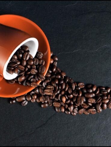 Café du Jour – vaak bekend als Cafedujour.nl of Café-du-jour.com – is een Nederlandse koffie- en theespecialist die in stilte is uitgegroeid tot een van de meest vertrouwde online bestemmingen voor bonen, koffiezetapparaten en dagelijkse cafeïnevreugde. Wat het merk onderscheidt, is niet de opzichtige luxe positionering. Het is de combinatie van verse, eigen branding, een enorme, zorgvuldig samengestelde selectie en een vriendelijke "koffie voor iedereen"-mentaliteit – geleverd tegen scherpe prijzen en met snelle verzending in de hele Benelux.