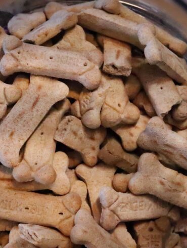 As pet owners, we all want the best for our dogs. We want them to live long, healthy, and happy lives, and a big part of that comes down to the food we feed them. In today’s market, it can be overwhelming to choose the right food for your dog, especially with so many options available. But one brand that stands out for its dedication to premium nutrition is Thrive Dog Food. Switching to Thrive could be one of the best decisions you make for your dog’s health and wellbeing. Made with the finest natural ingredients and carefully crafted to support your dog’s overall health, Thrive provides benefits that extend far beyond just a tasty meal. If you’re considering making the switch, here’s a look at the many benefits of feeding your dog premium nutrition from Thrive.