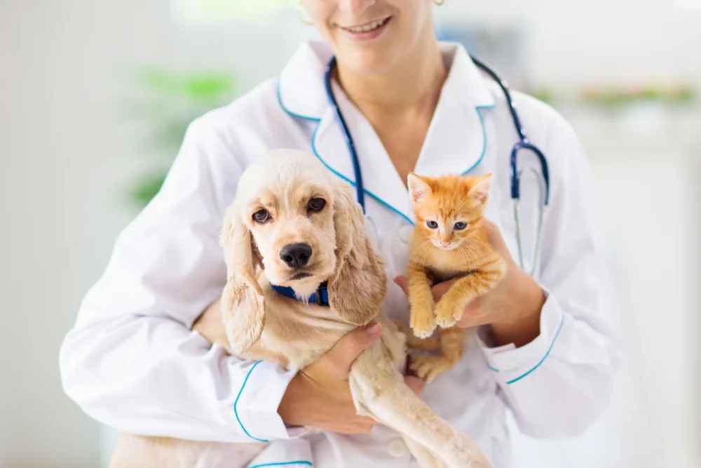 veterinary care