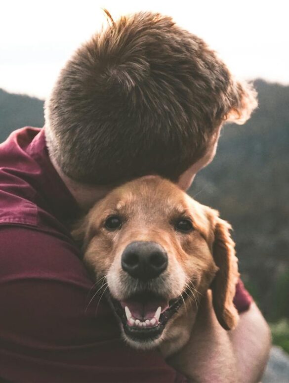 Pet care