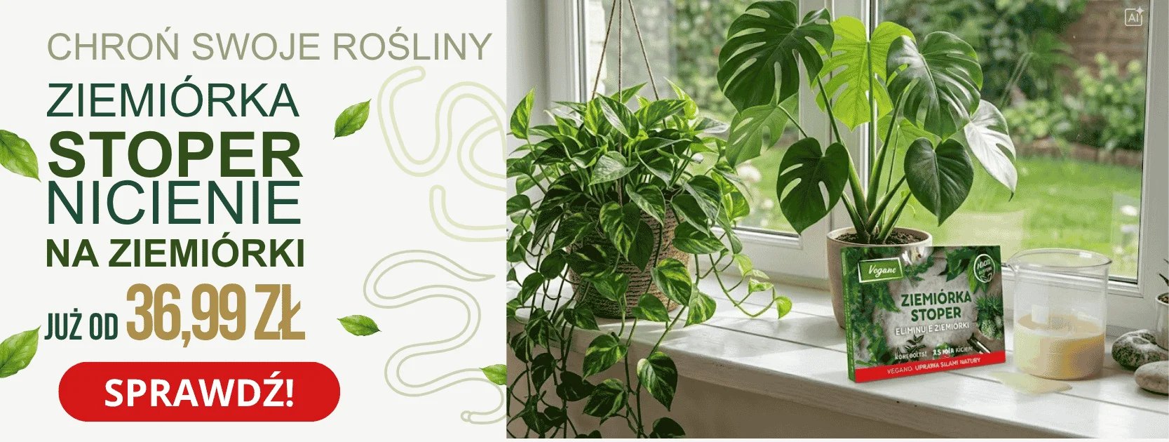 Zieleń stoper w opakowaniu na parapecie obok pnących się roślin w doniczkach na tle zielonego ogrodu