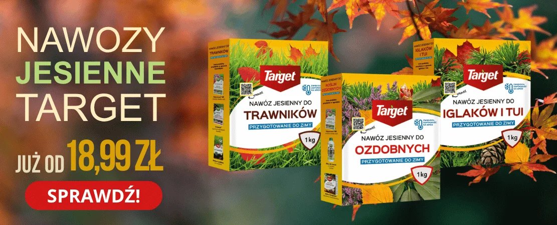 Jesienne nawozy Target do trawników, iglaków i roślin ozdobnych - promocja od 18,99 zł