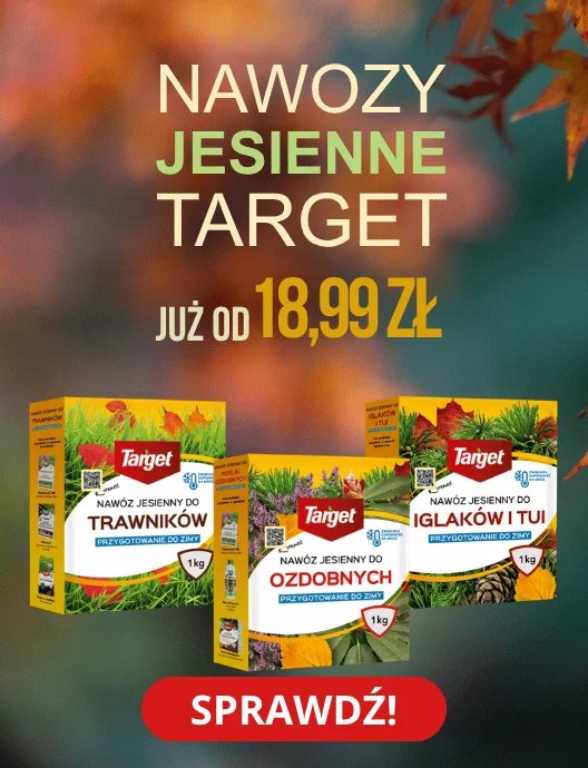 Trzy opakowania nawozów jesiennych Target do trawników, iglakowych i ozdobnych roślin, promocja od 18,99 zł