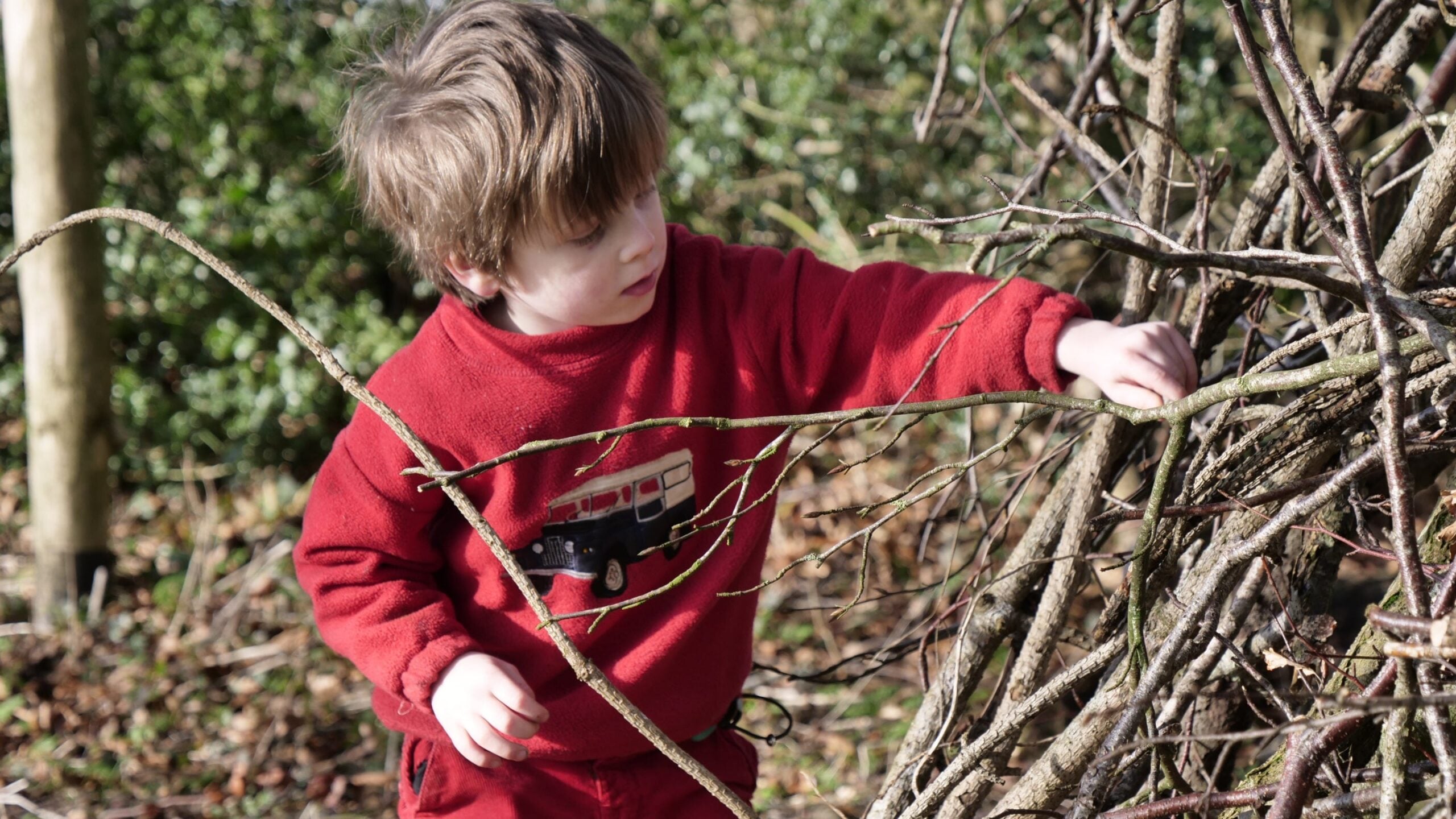 Toddler in red shirt touching branches on dried twigs outdoors