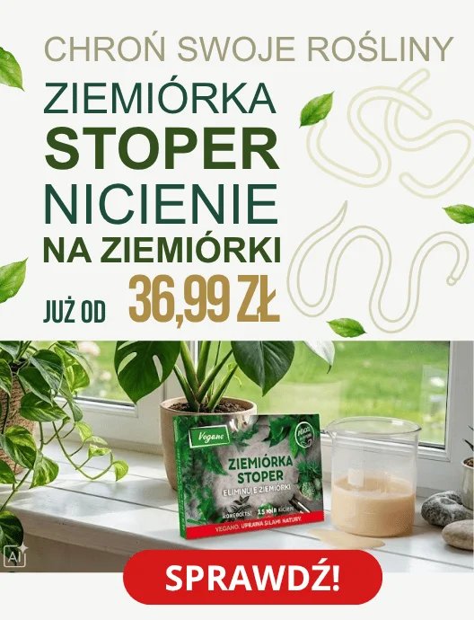 Ziemiórka stoper na parapecie okiennym z opisem promocji ochrony roślin już od 36,99 zł