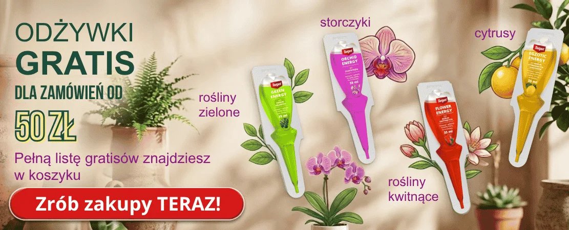 Te same fiolki nawozów Green Energy, Orchid Energy i Flower Energy w zbliżeniu wśród zielonej roślinności doniczkowej