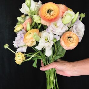 Appleyard Flowers London is a premium online florist known for delivering luxurious bouquets, elegant plants, and curated gift sets across the UK. With a focus on quality, style, and convenience, the brand has become a popular choice for customers looking to send thoughtful and beautifully arranged floral gifts.