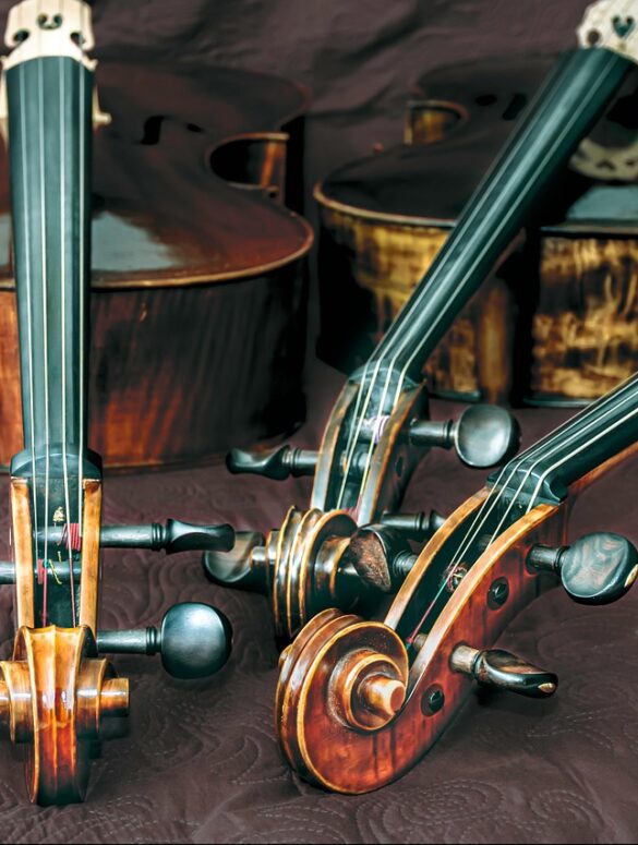 Bax-shop is uitgegroeid van een gespecialiseerde winkel tot een van Europa's meest vertrouwde bestemmingen voor muzikanten, dj's, producers en makers. Bekend om zijn enorme productaanbod, concurrerende prijzen en deskundige begeleiding, is het merk uitgegroeid tot een onmisbare bron voor iedereen die van muziek houdt of met geluid werkt. Of je nu een beginner bent die zijn eerste instrument koopt of een doorgewinterde professional die zijn studioapparatuur wil upgraden, Bax-shop biedt een soepele, deskundige en betrouwbare winkelervaring die elke fase van de creatieve reis ondersteunt.